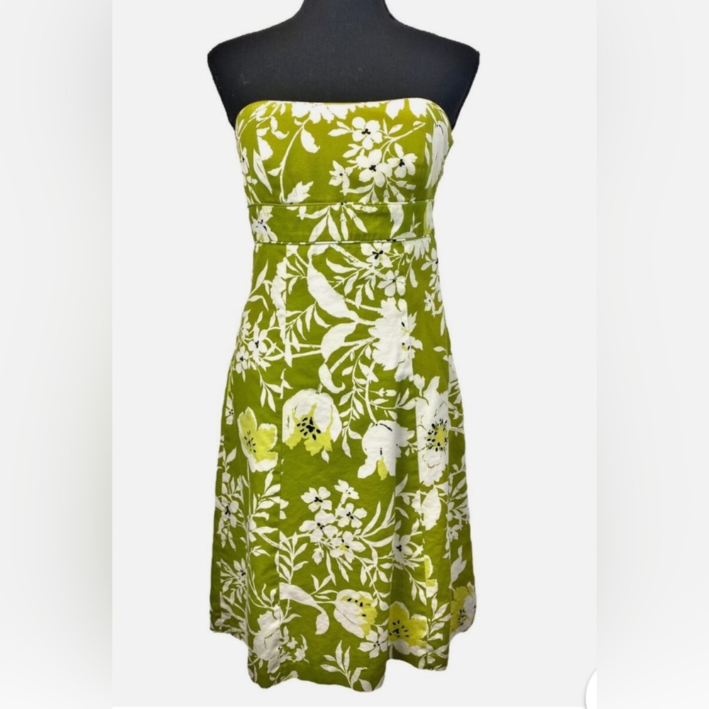 Ann Taylor silk blend Green and White Dress